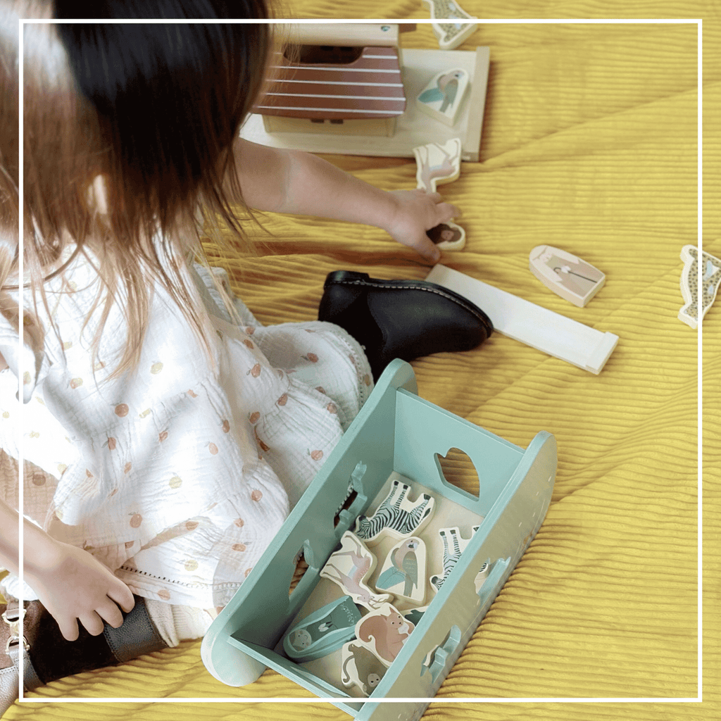 Noah’s Ark Shape Sorter